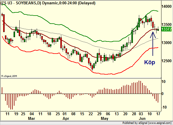 http://borstjanaren.se/images/article_images/img4/teknisk.analys.trading_2321.png