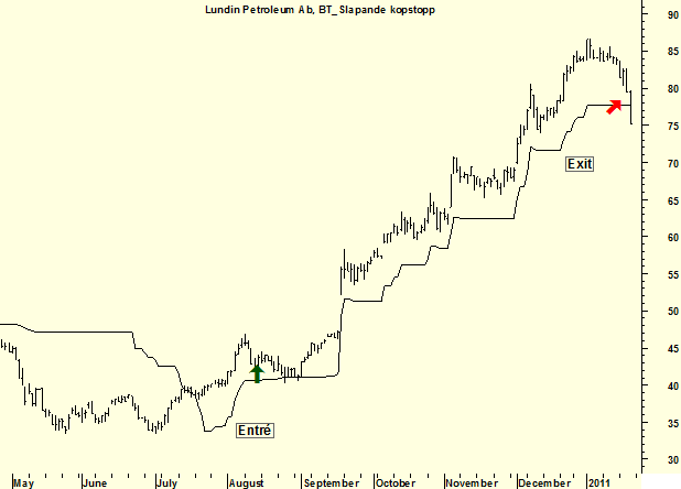http://borstjanaren.se/images/article_images/img5/lupe.exit.trailing.png